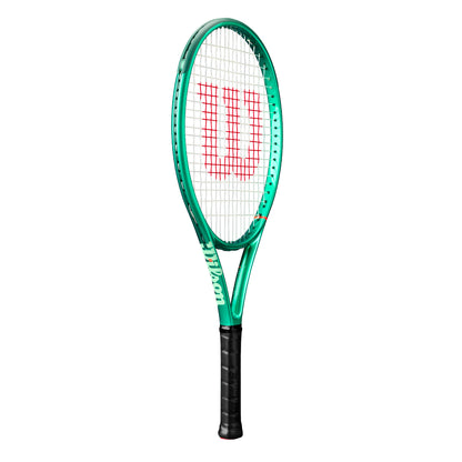 Blade 25 V10